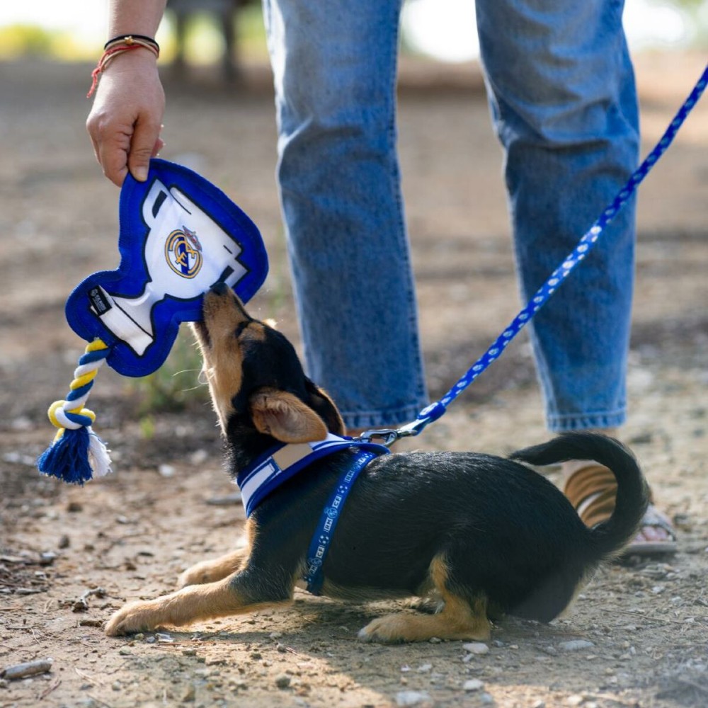 Jouet pour chien Real Madrid C.F. Multicouleur Polyester Coton