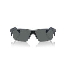 Lunettes de soleil Homme Emporio Armani EA 4218