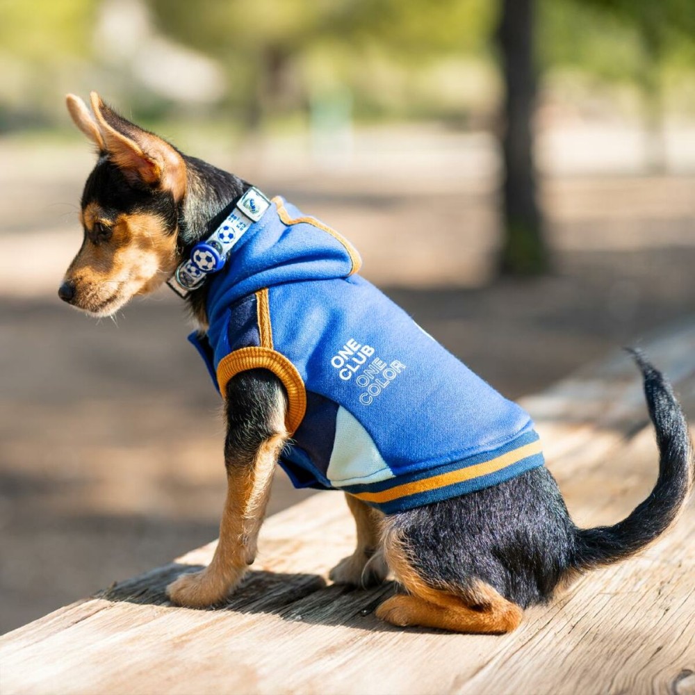 Pull pour Chien Real Madrid C.F. Bleu M
