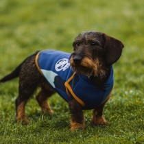 Pull pour Chien Real Madrid C.F. Bleu M