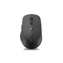 Schnurlose Mouse Rapoo 00184341 Schwarz 1600 dpi