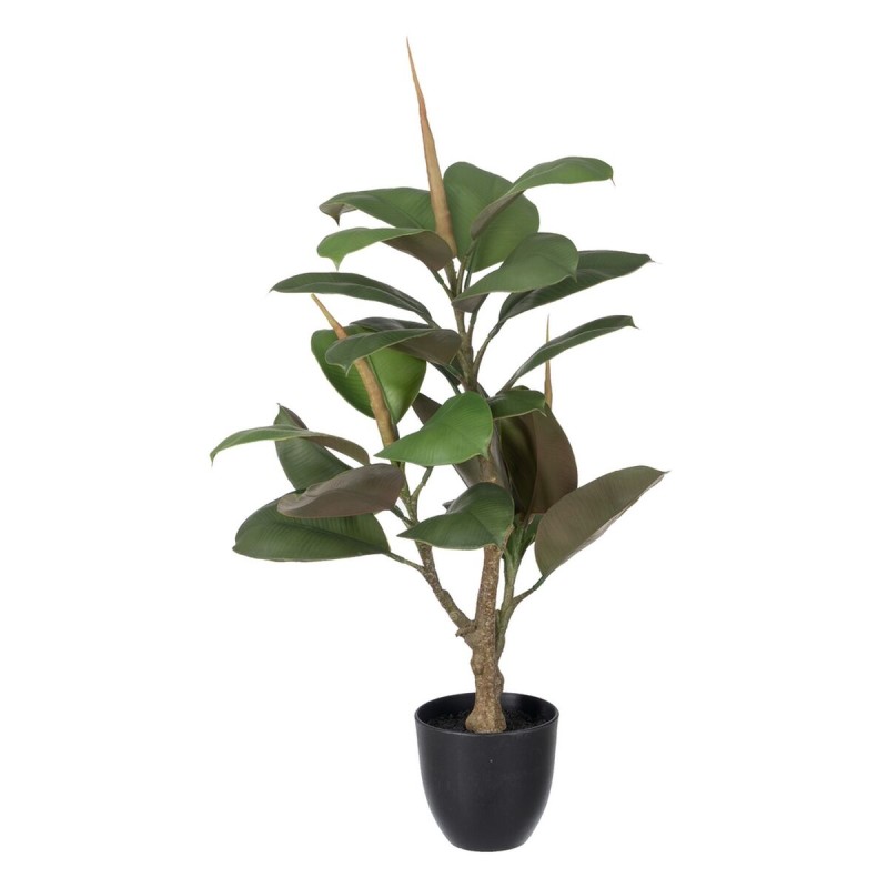 Plante décorative Polyéthylène Fer PEVA Chêne 76 cm