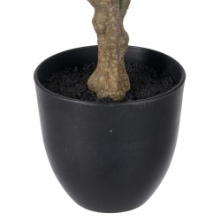 Plante décorative Polyéthylène Fer PEVA Chêne 76 cm