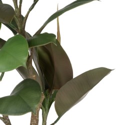 Plante décorative Polyéthylène Fer PEVA Chêne 76 cm