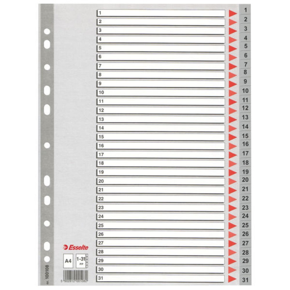 Séparateurs Esselte 1-31 Numéroté Gris A4 31 Volets (10 Unités)