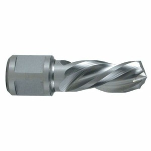 Mèche creuse RUKO 10 mm Weldon
