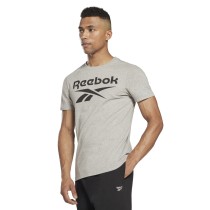 Herren Kurzarm-T-Shirt Reebok BIG LOGO TEE HD4219 Grau