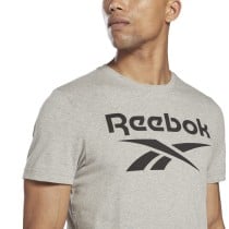 Herren Kurzarm-T-Shirt Reebok BIG LOGO TEE HD4219 Grau