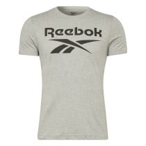 Herren Kurzarm-T-Shirt Reebok BIG LOGO TEE HD4219 Grau