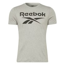 Herren Kurzarm-T-Shirt Reebok BIG LOGO TEE HD4219 Grau