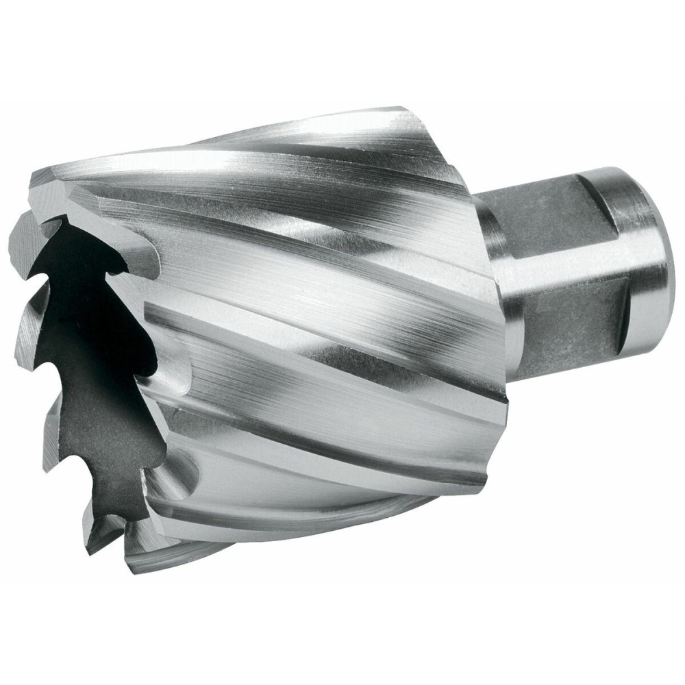 Hohlbohrer TERRAX 28 mm Weldon