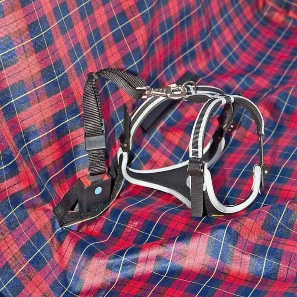 Autositzschutz für Haustiere Ferplast Schwarz Rot 140 x 50 x 60 cm