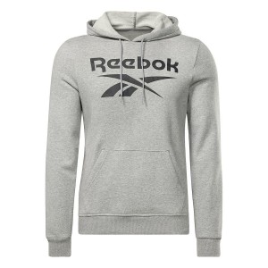 Herren Sweater mit Kapuze Reebok FT BIG LOGO OTH HZ8786  Grau