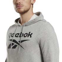 Herren Sweater mit Kapuze Reebok FT BIG LOGO OTH HZ8786  Grau