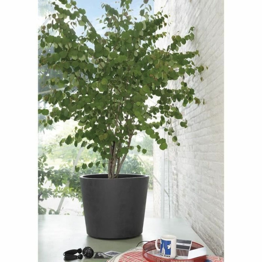 Pot Deroma Millennium Anthracite Plastique 59 x 59 x 49,5 cm
