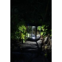 Lanterne à LED Noir Verre ABS 12 x 12 x 18 cm