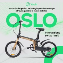 Vélo Électrique Youin BK1950 OSLO PRO Noir Doré