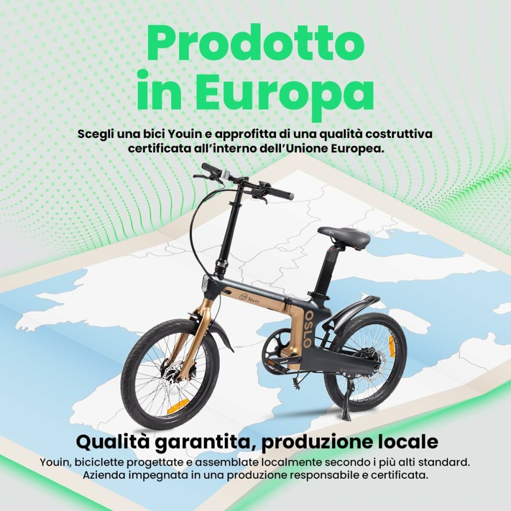 Electric Bike Youin BK1950 OSLO PRO Black Golden