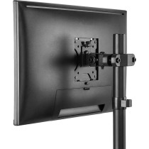 TV Mount Neomounts 12581674000 17" 32" 8 kg