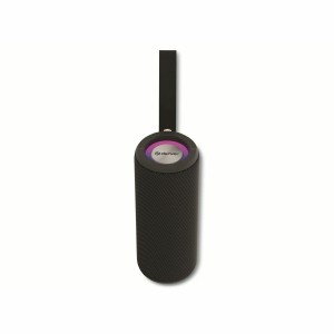 Haut-parleurs bluetooth portables Denver Electronics BTV213 NEGRO10W Noir