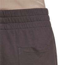 Short de Sport pour Femme Adidas Originals 3 stripes Marron