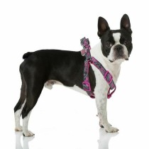 Dog Harness Superman Pink