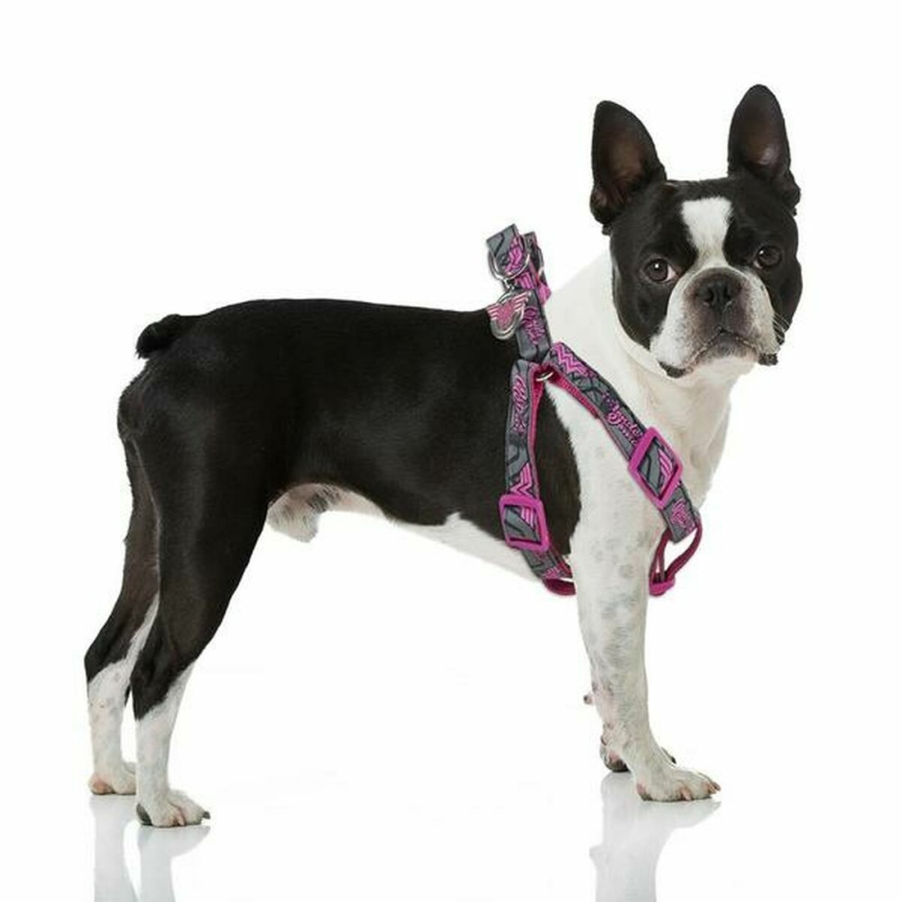 Harnais pour Chien Superman Rose
