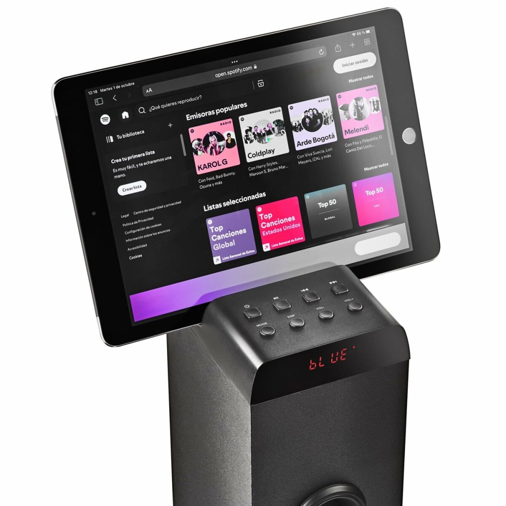 Portable Bluetooth Speakers NGS SKY CHARM PRO Black 50 W