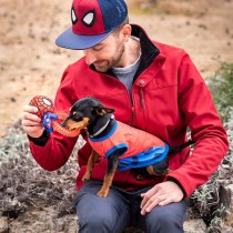 Jouet pour chien Spider-Man Rouge 100 % polyester