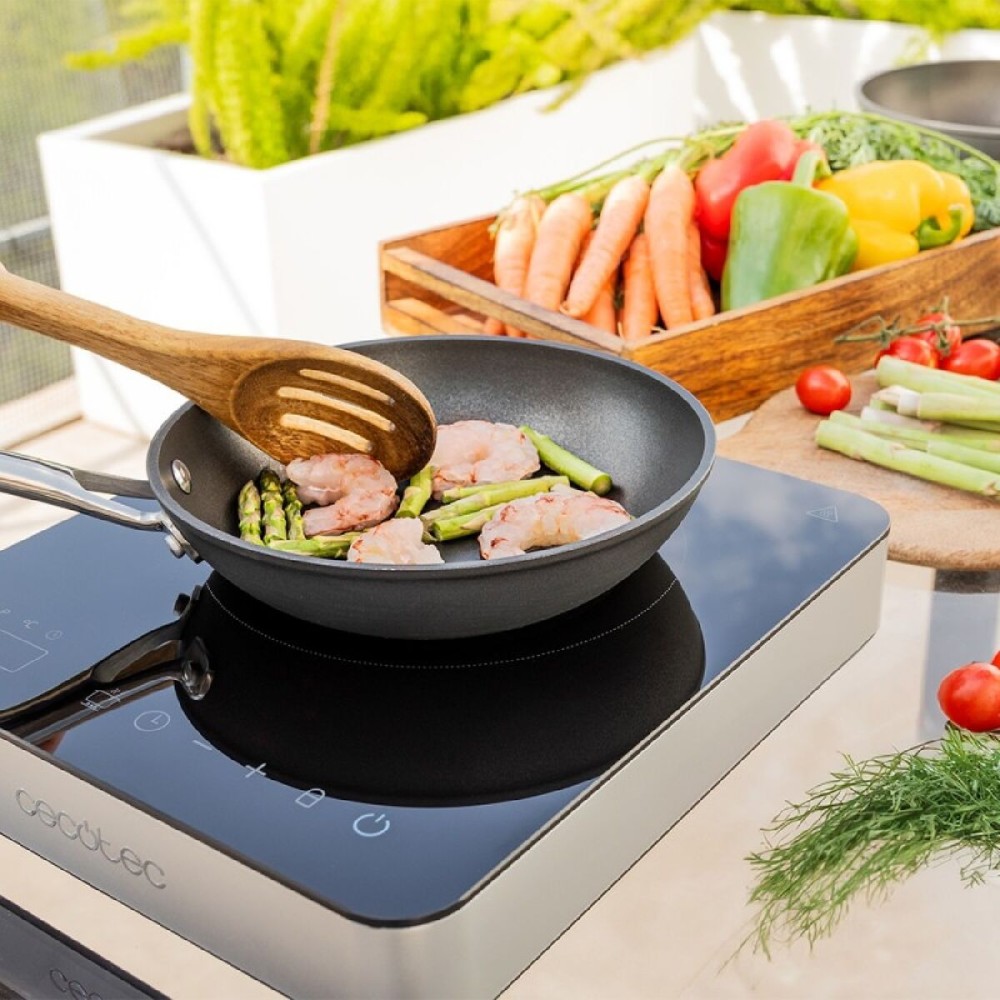 Induction Hot Plate Cecotec NA