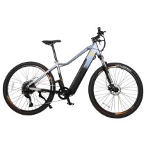 Electric Bike Cecotec Avanti 250 W 29"