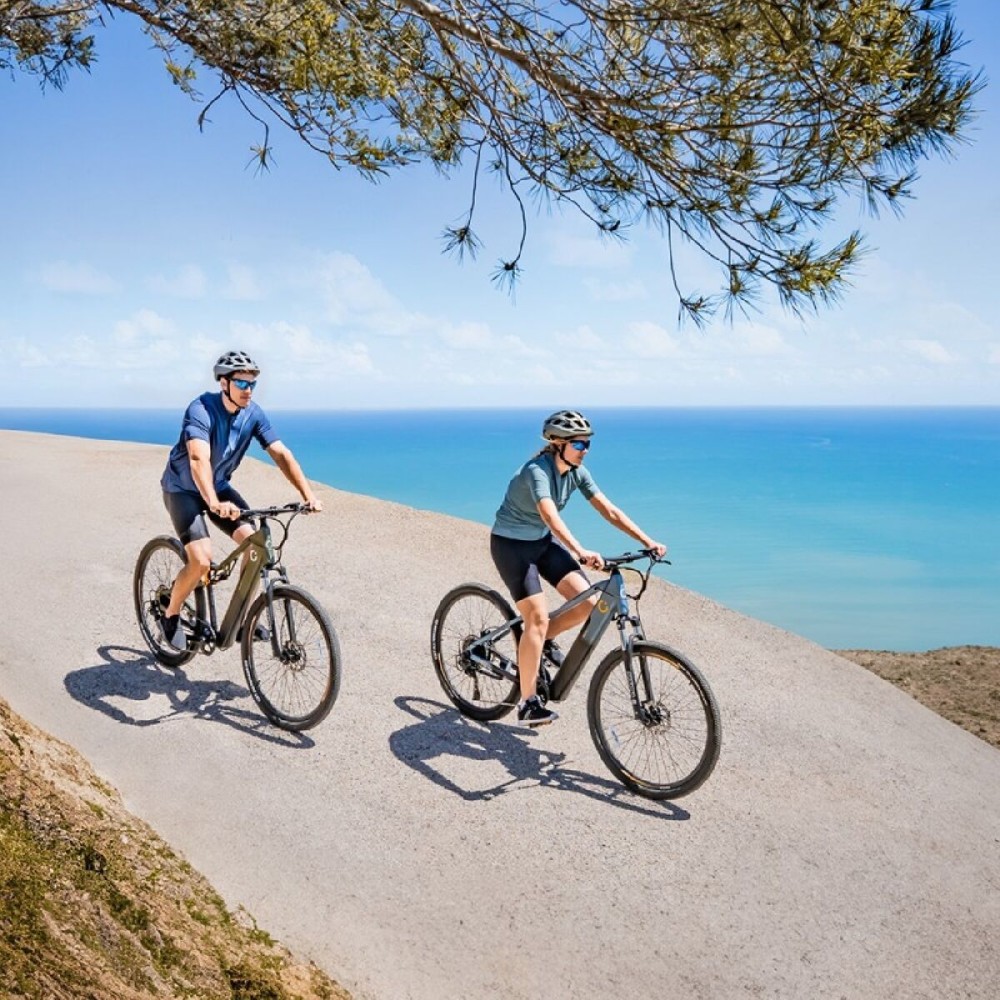 Vélo Électrique Cecotec Avanti 250 W 29"