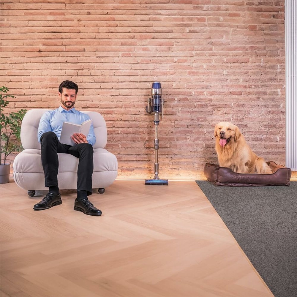 Besenstaubsauger Cecotec Conga Rockstar 12500 Stellar AquaPet Flex 650 W