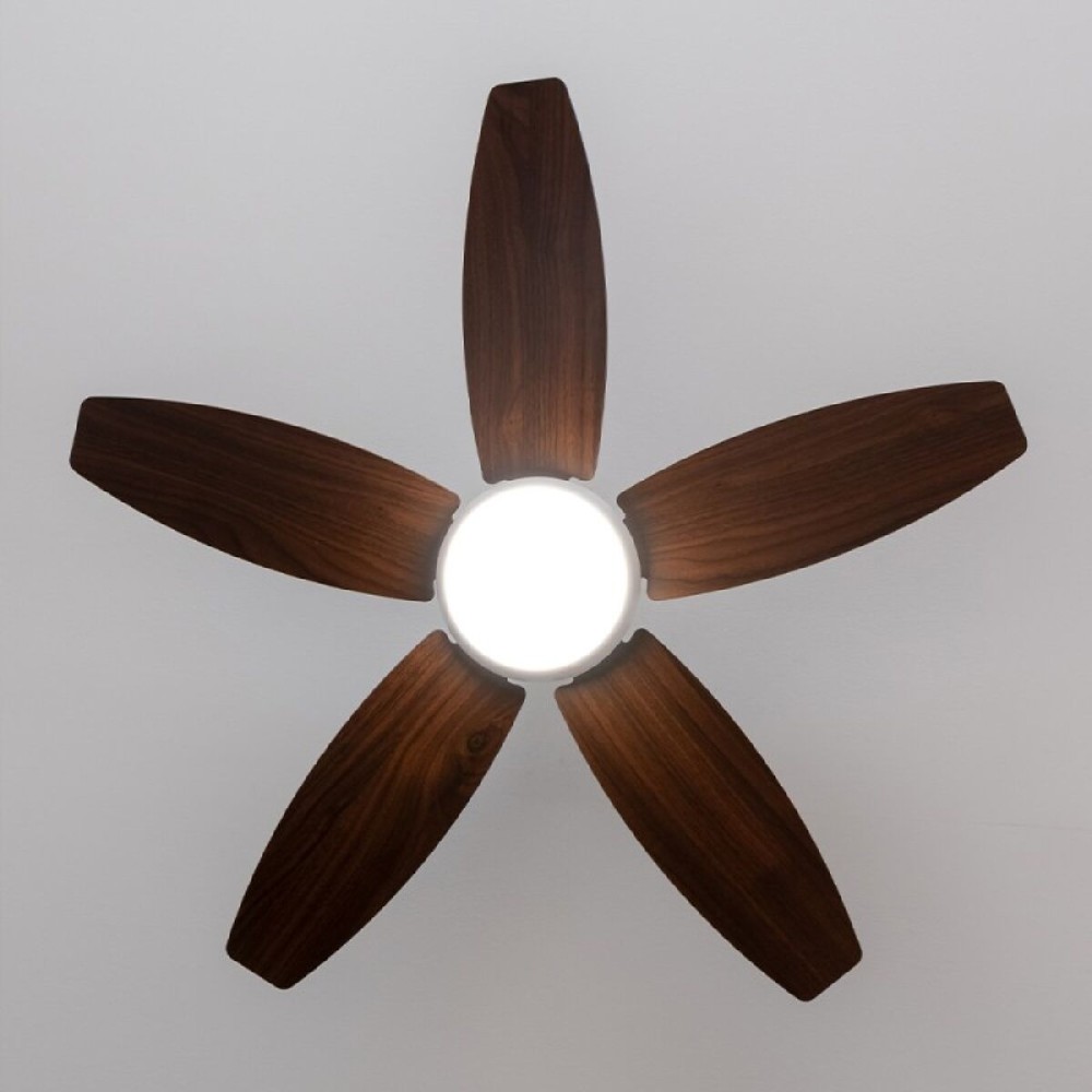 Ventilateur de Plafond avec Lumière Cecotec EnergySilence Aero 4200 15 W 53 W