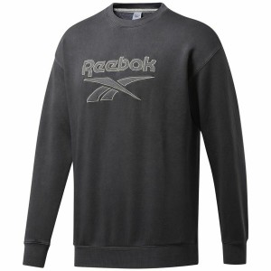 Herren Sweater ohne Kapuze Reebok Classics Premium Dunkelgrau