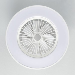 Ventilateur de Plafond avec Lumière Philips Blanc