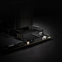 RAM Memory Adata AX5U6000C3616G-DTLABBK