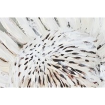 Cadre Home ESPRIT Jaune Blanc Rouge Vert Cottage 83 x 4,5 x 83 cm (2 Unités)