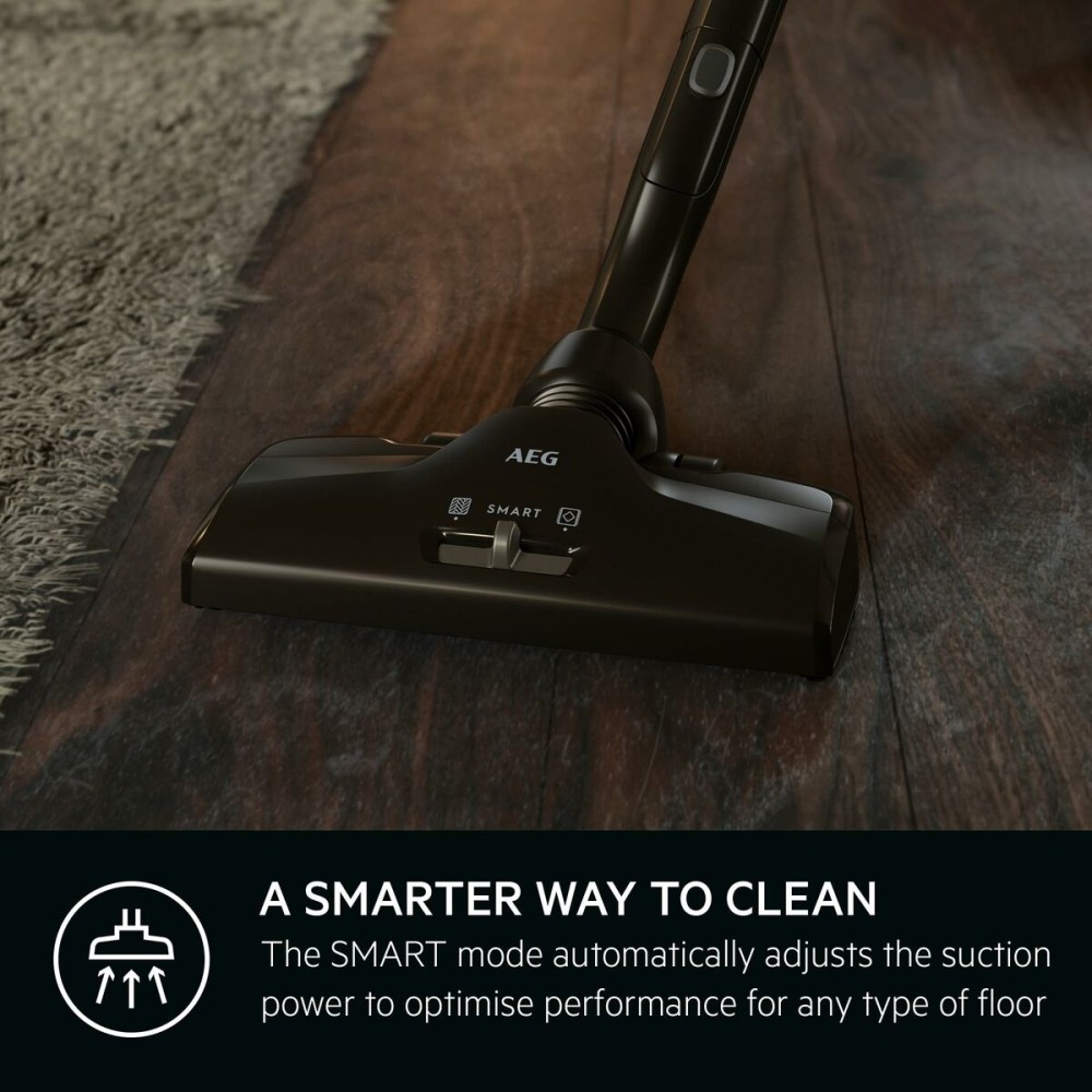 Vacuum Cleaner AEG VX82-1-ÖKO Black 600 W