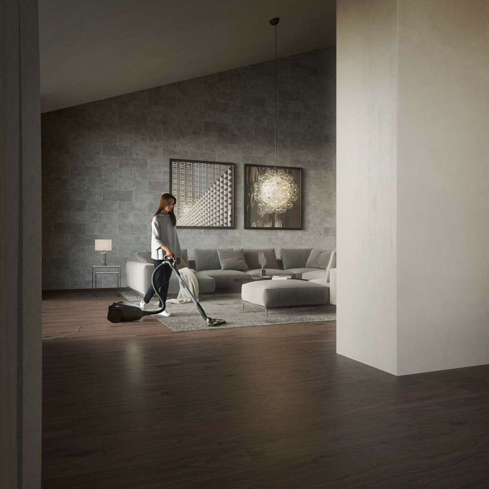 Vacuum Cleaner AEG VX82-1-ÖKO Black 600 W