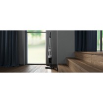 Besenstaubsauger AEG AS62CB25UG 600 W