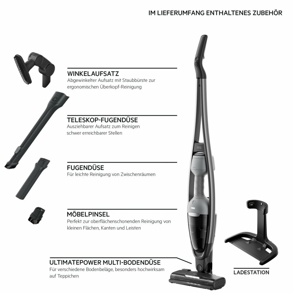 Stick Vacuum Cleaner AEG AS62CB25UG 600 W