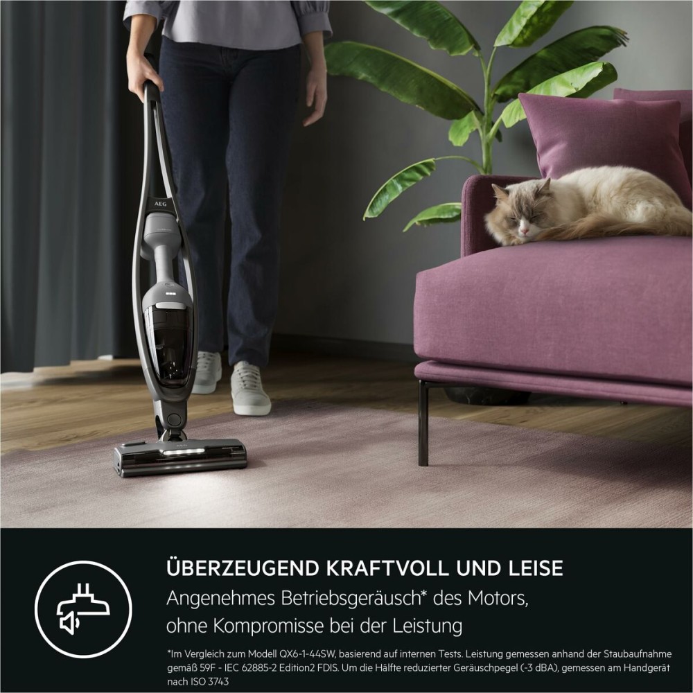 Aspirateur balai AEG AS62CB25UG 600 W