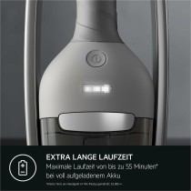 Besenstaubsauger AEG AS62CB25UG 600 W