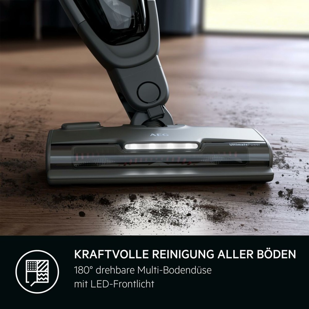 Besenstaubsauger AEG AS62CB25UG 600 W