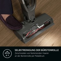 Besenstaubsauger AEG AS62CB25UG 600 W