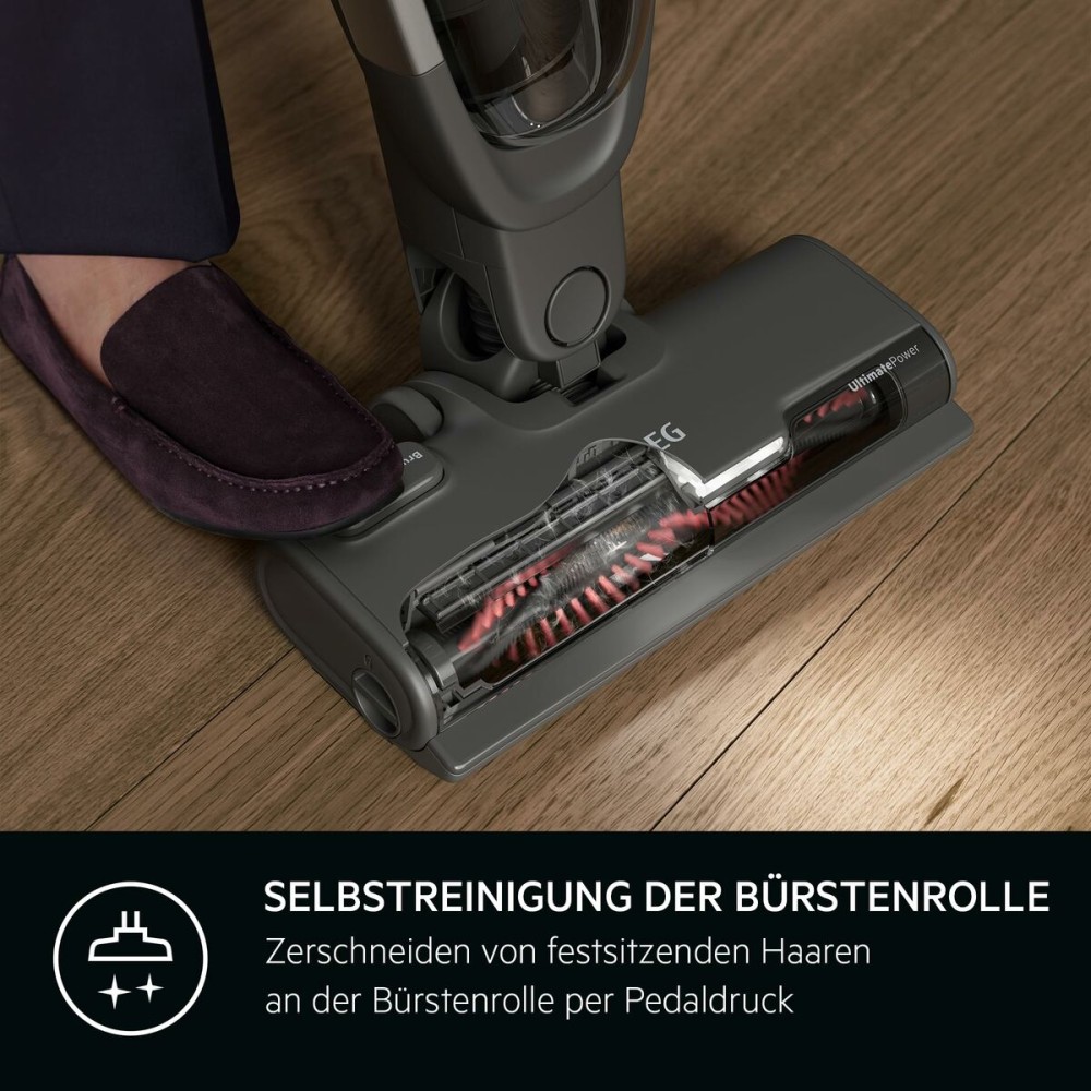 Besenstaubsauger AEG AS62CB25UG 600 W