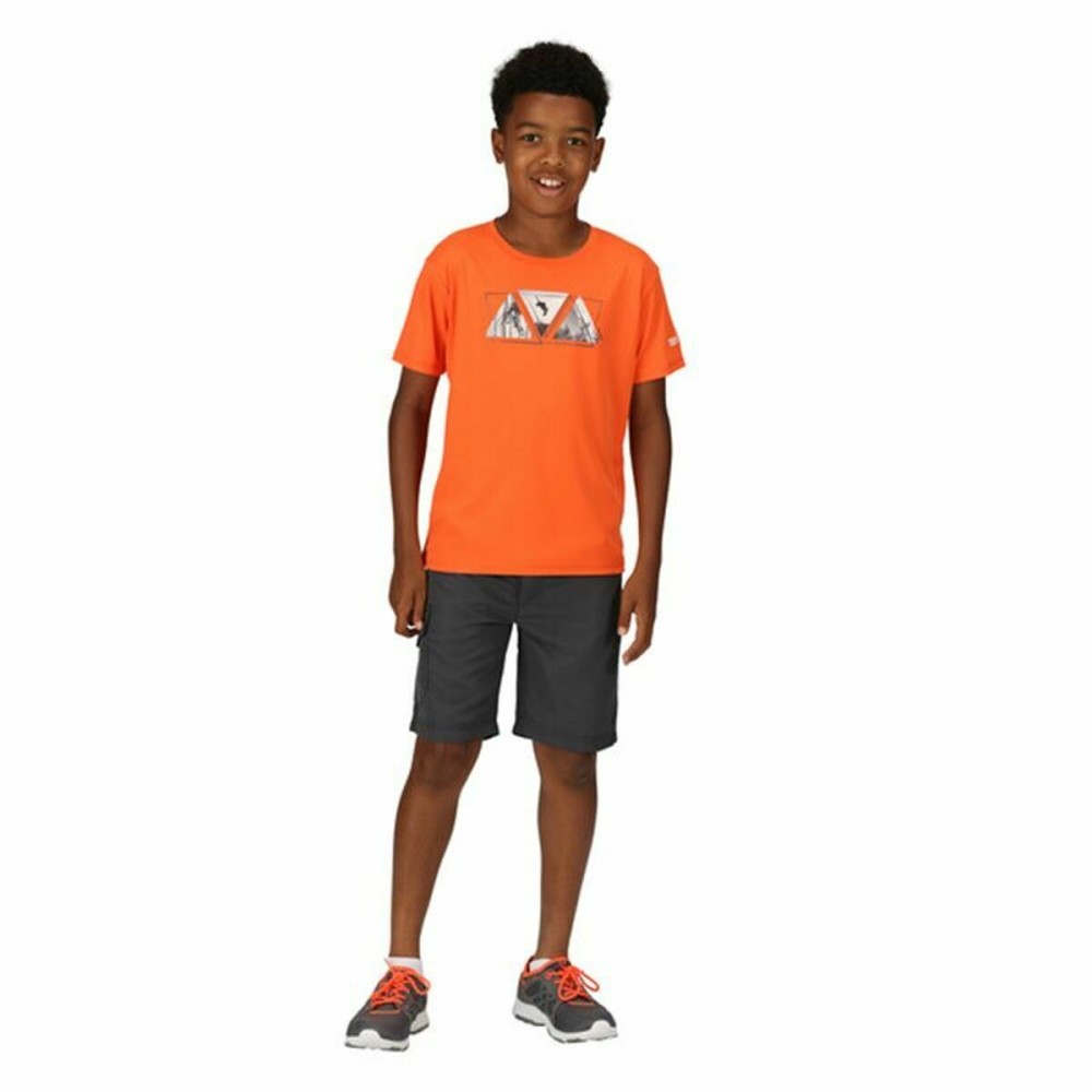 Short de Sport pour Enfants Regatta Sorcers II Seal  Montagne