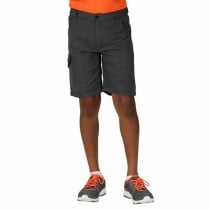 Sport Shorts for Kids Regatta Sorcers II Seal  Moutain