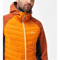 Sportjackefür Herren Regatta Andreson VIII Hybrid Orange